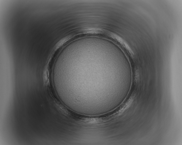 X0000102400970200808081301