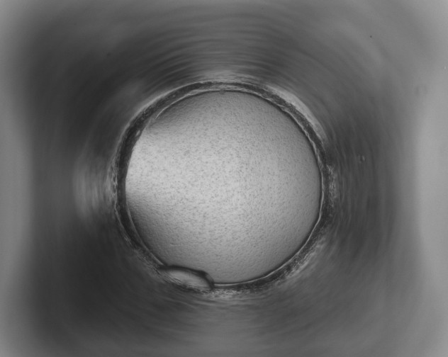 X0000102400971200808081301