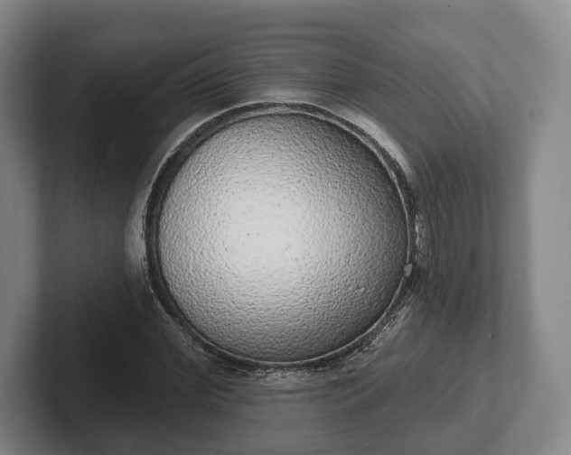 X0000102400972200808081301