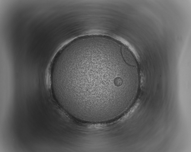 X0000102400973200808081301