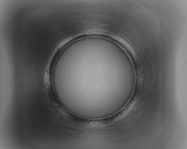 X0000102400974200808081301