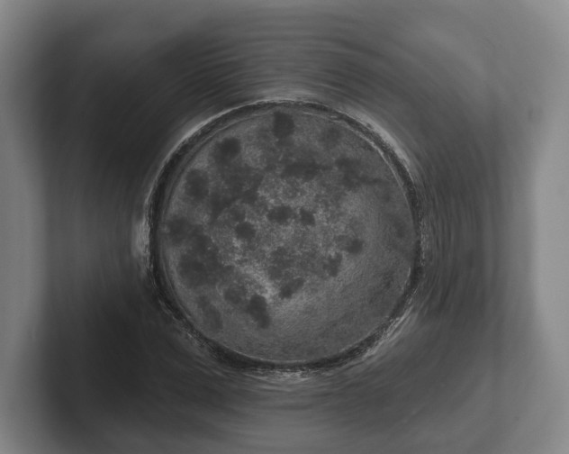 X0000102400975200808081301