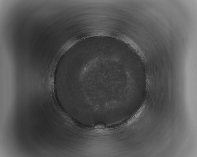 X0000102400977200808081301