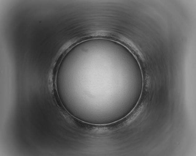 X0000102400978200808081301