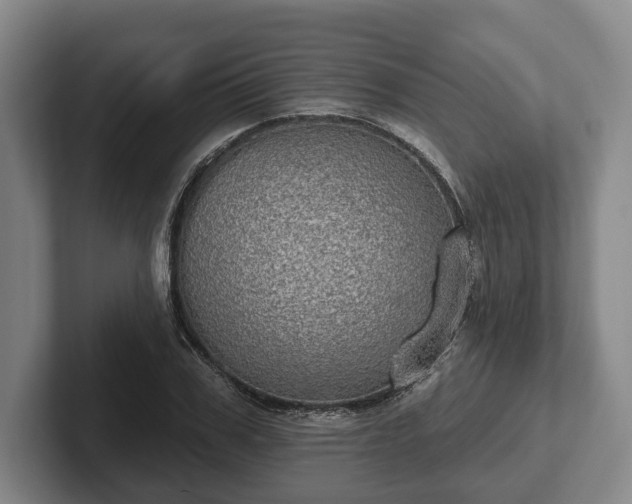 X0000102400979200808081301