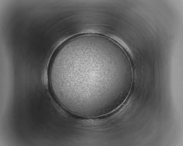 X0000102400980200808081301