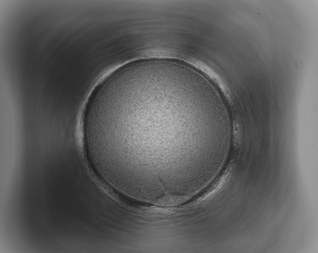 X0000102400981200808081301