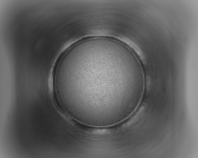 X0000102400982200808081301