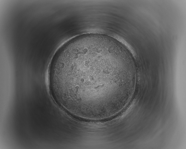 X0000102400983200808081301