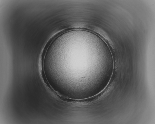 X0000102400984200808081301