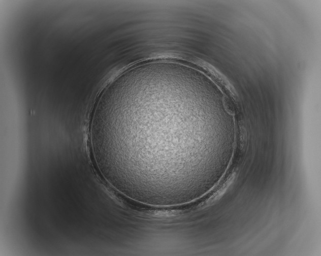 X0000102400985200808081301