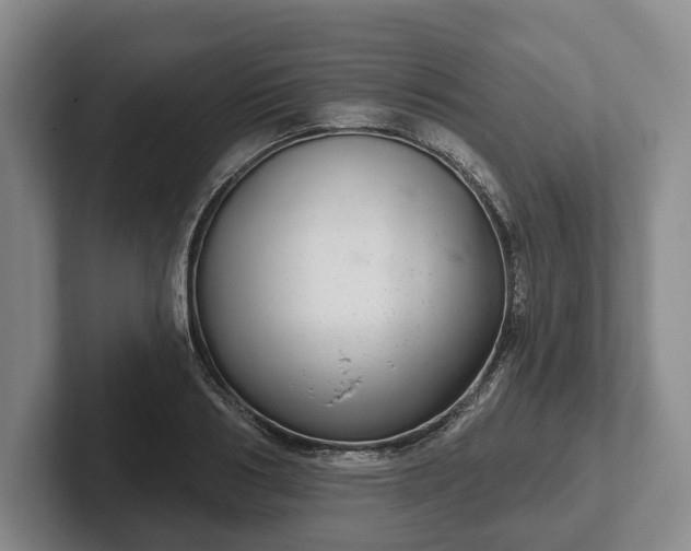 X0000102400986200808081301