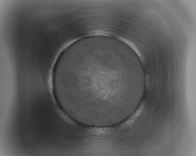 X0000102400987200808081301