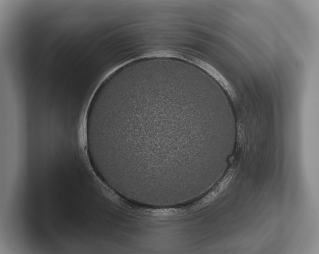 X0000102400988200808081301