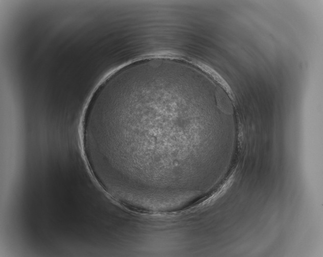 X0000102400989200808081301