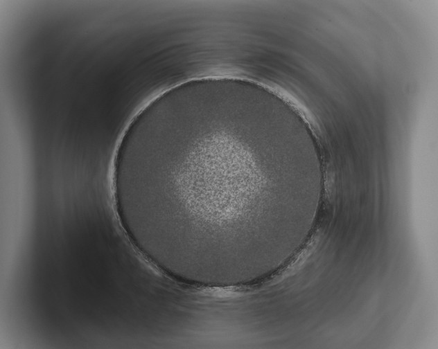 X0000102400990200808081301