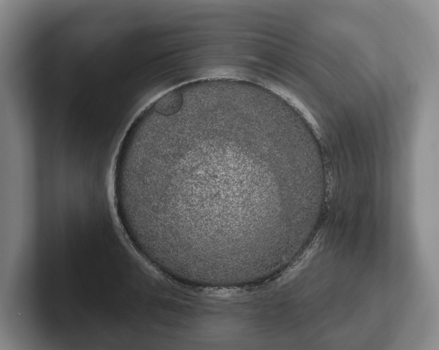 X0000102400991200808081301