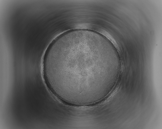 X0000102400992200808081301