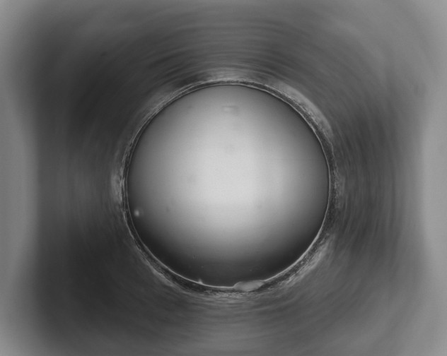 X0000102400993200808081301