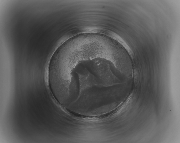 X0000102400994200808081301