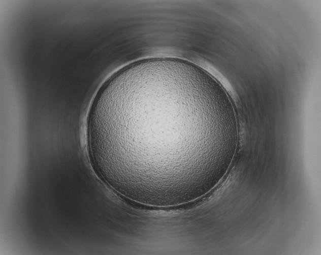 X0000102400996200808081301