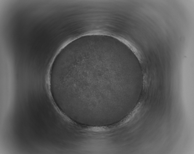 X0000102400998200808081301