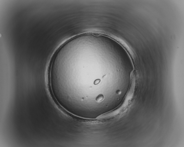 X0000102400999200808081301