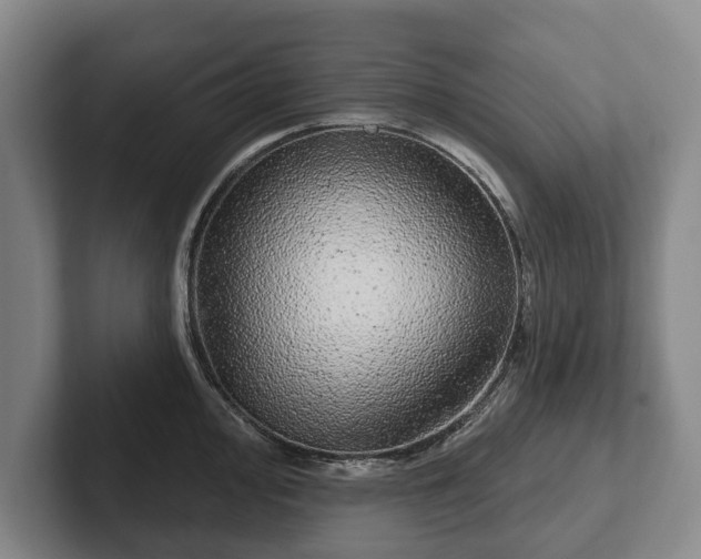 X0000102401000200808081301