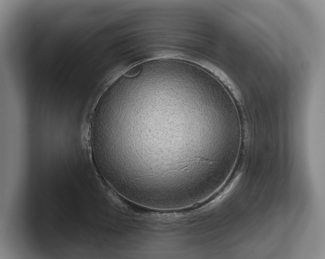 X0000102401001200808081301