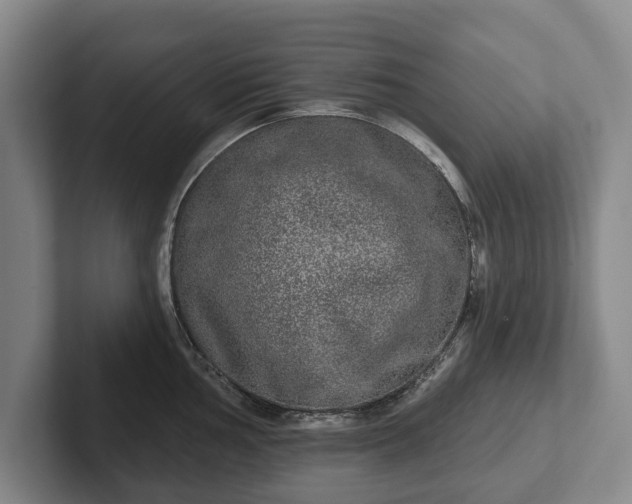 X0000102401002200808081301