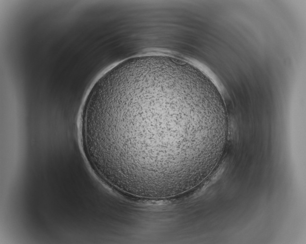 X0000102401003200808081301