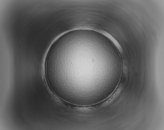 X0000102401004200808081301