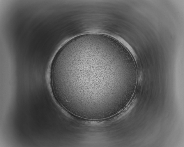 X0000102401005200808081301