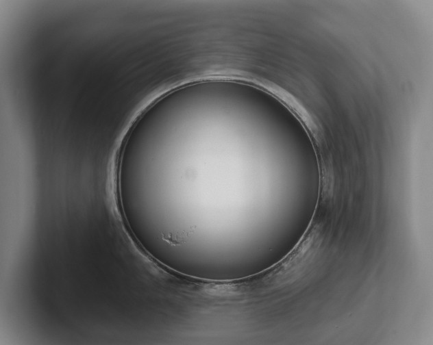 X0000102401006200808081301