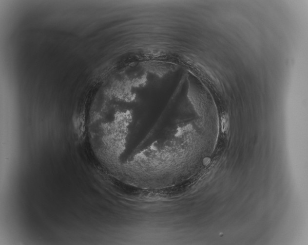 X0000102401011200808081300