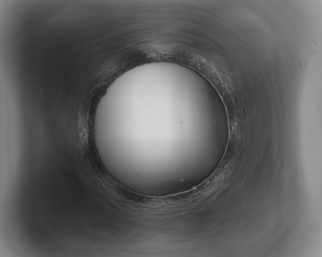 X0000102401012200808081300