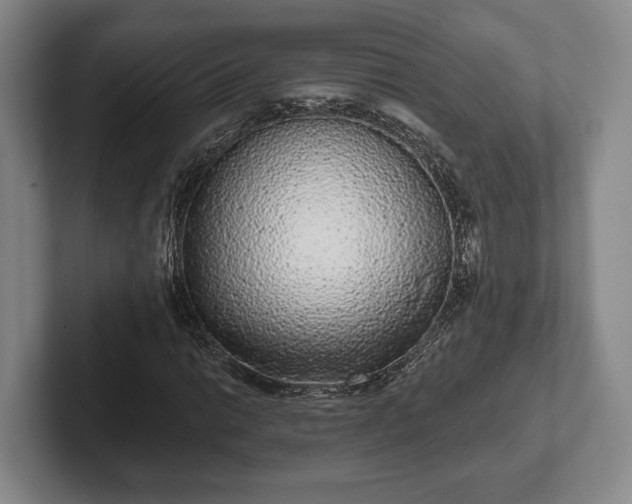 X0000102401014200808081300