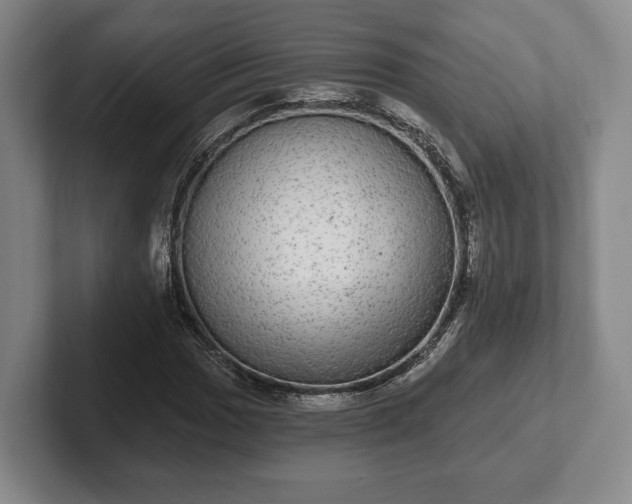 X0000102401017200808081300