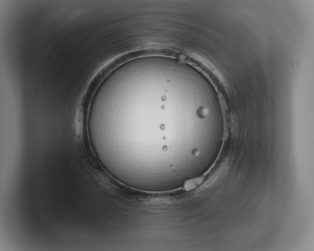 X0000102401021200808081300