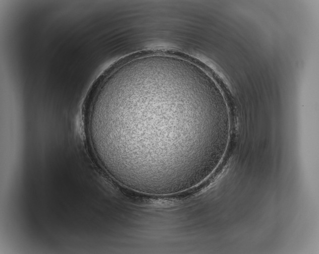 X0000102401022200808081300