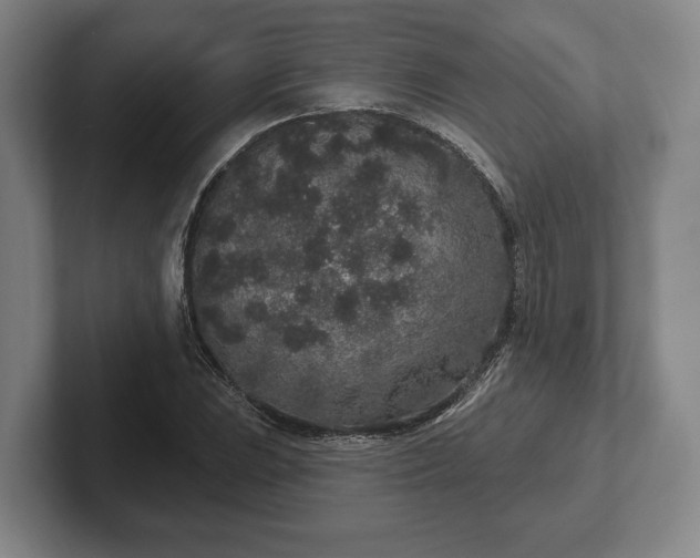 X0000102401023200808081300