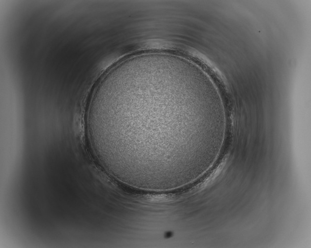 X0000102401025200808081300