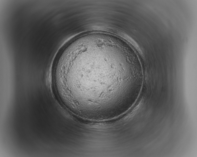 X0000102401028200808081300