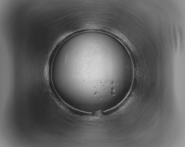 X0000102401030200808081300