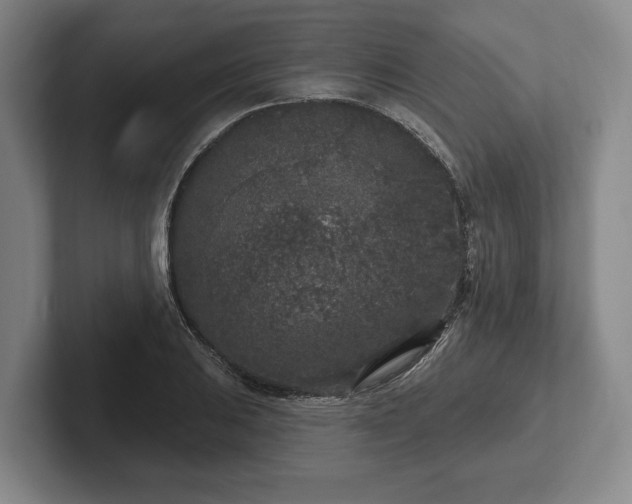 X0000102401031200808081300