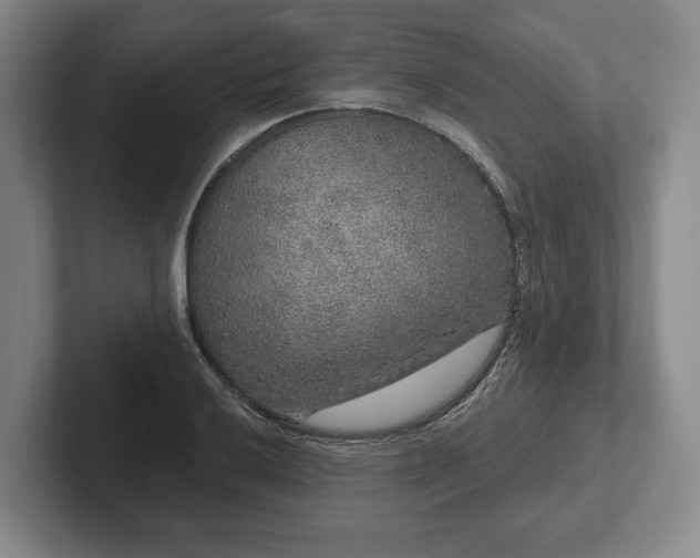 X0000102401032200808081300