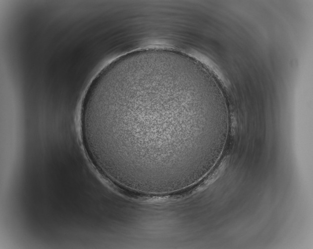 X0000102401038200808081300