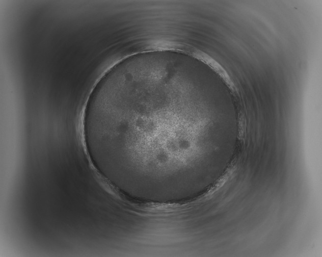 X0000102401039200808081300