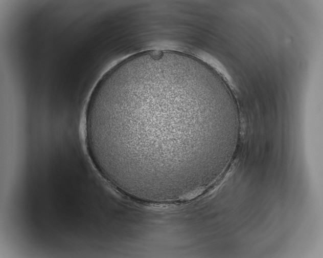 X0000102401040200808081300