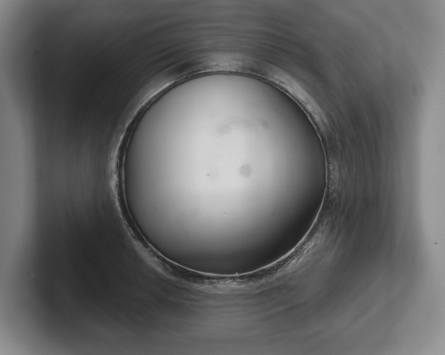 X0000102401042200808081300